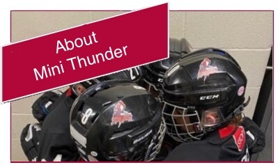 About_Mini_Thunder2.jpg